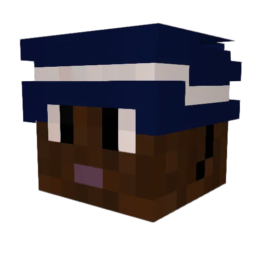 Nigward_the_one Minecraft avatar head, 3D render