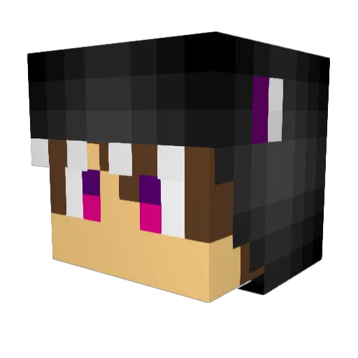 Nigze Minecraft avatar head, 3D render