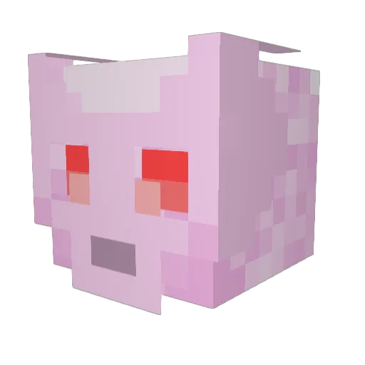 Nihil101 Minecraft avatar head, 3D render