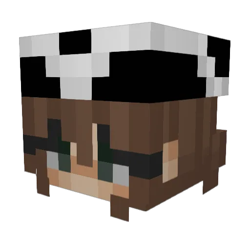 Nihwli Minecraft avatar head, 3D render