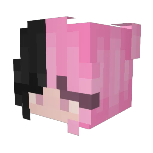 NiiaLN Minecraft avatar head, 3D render