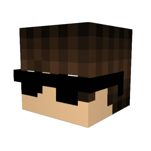 NiicoBR Minecraft avatar head, 3D render