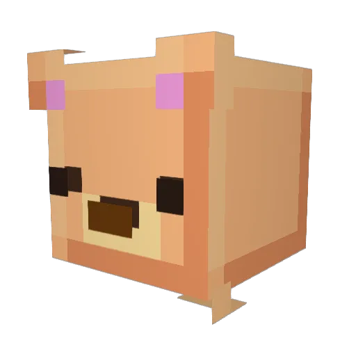 Niicolette Minecraft avatar head, 3D render