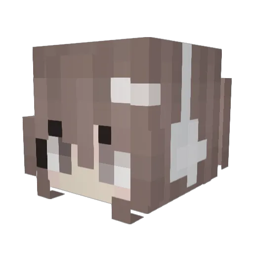 Niiicole_e Minecraft avatar head, 3D render