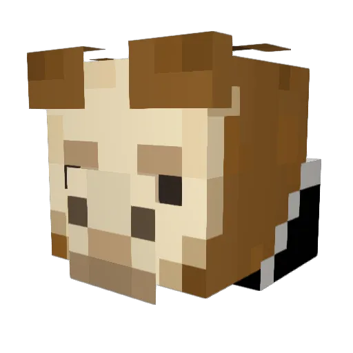 Niik0h Minecraft avatar head, 3D render
