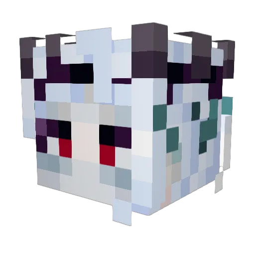 Niinestrom Minecraft avatar head, 3D render