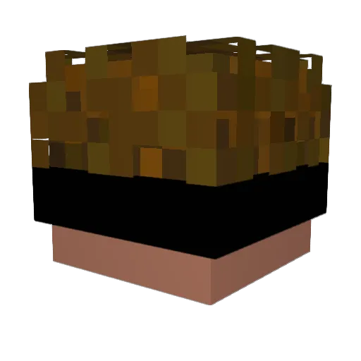 Niipe Minecraft avatar head, 3D render