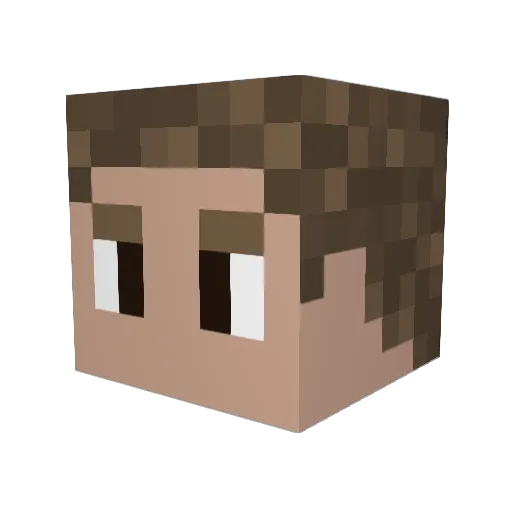 Nik1404 Minecraft avatar head, 3D render