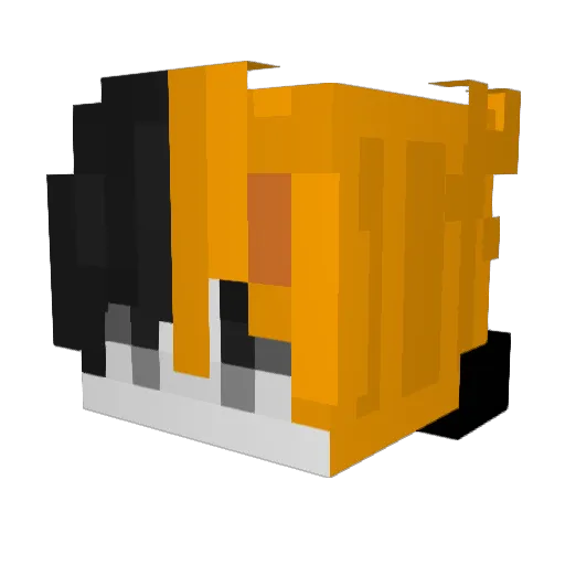 Nik1Toxik Minecraft avatar head, 3D render