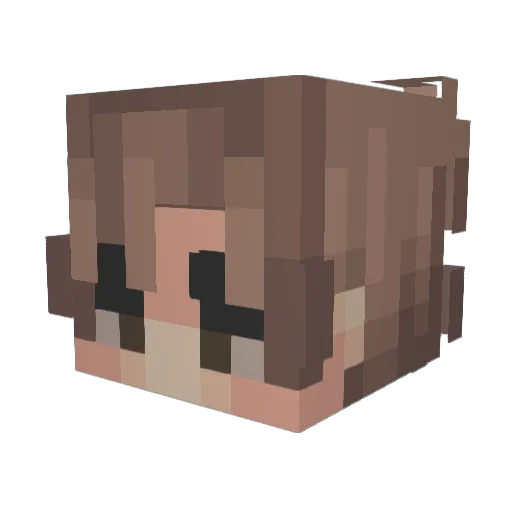 Nik2199 Minecraft avatar head, 3D render