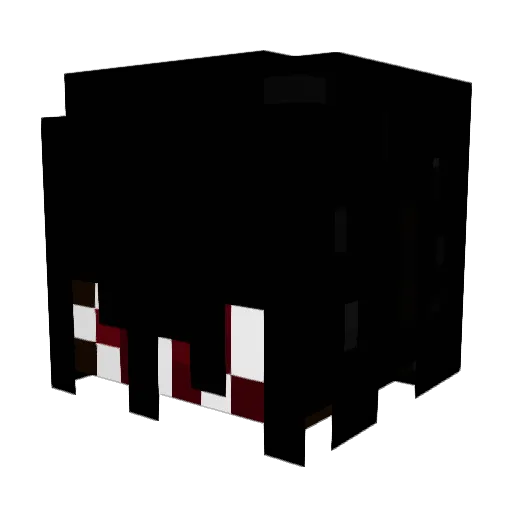 Nik2373 Minecraft avatar head, 3D render