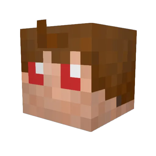 Nik371 Minecraft avatar head, 3D render