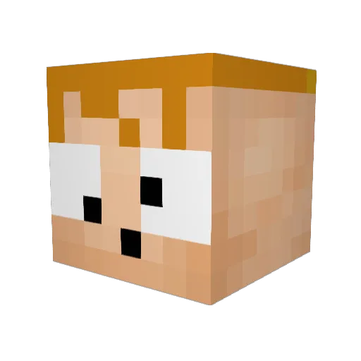 Nik69_ Minecraft avatar head, 3D render