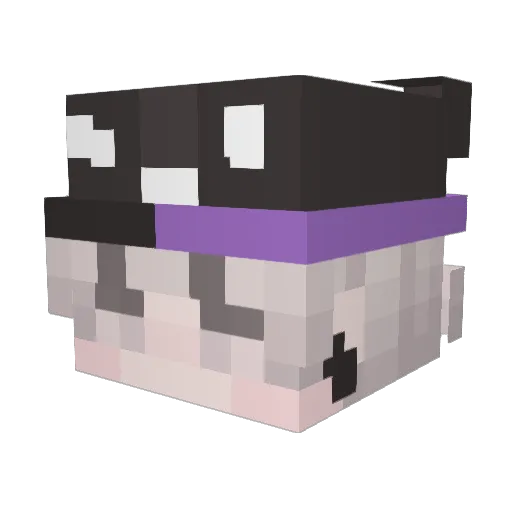 Nik_1200 Minecraft avatar head, 3D render