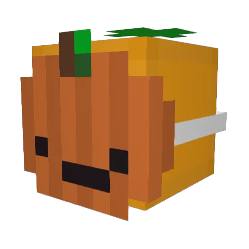 Nik_1511 Minecraft avatar head, 3D render