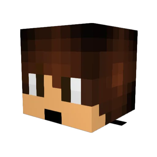 Nik_42 Minecraft avatar head, 3D render