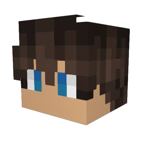 Nik_T_ Minecraft avatar head, 3D render