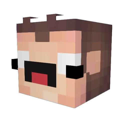 NikaSan479 Minecraft avatar head, 3D render