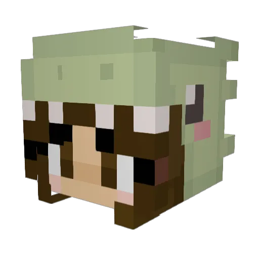 Nikachu321 Minecraft avatar head, 3D render