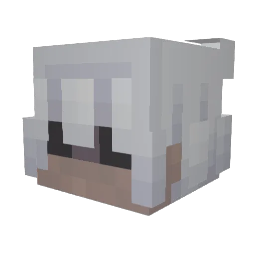 Nikafixx Minecraft avatar head, 3D render