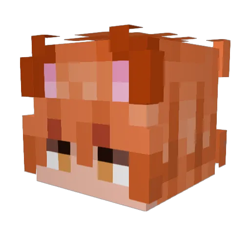 Nikari777 Minecraft avatar head, 3D render