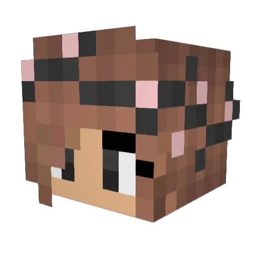 Nikari Minecraft avatar head, 3D render
