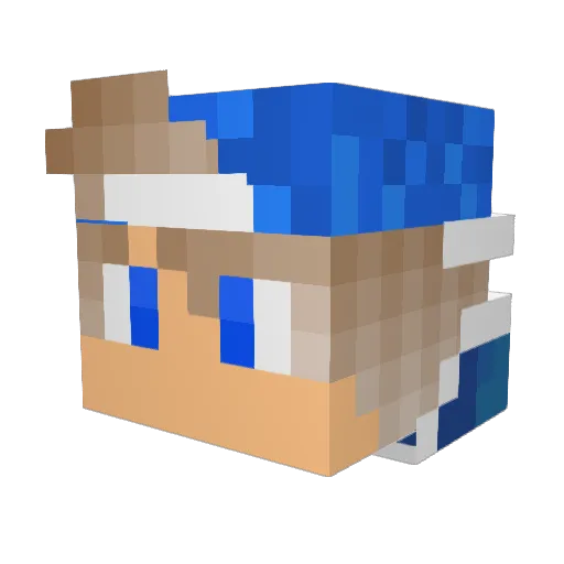 Nikator211 Minecraft avatar head, 3D render