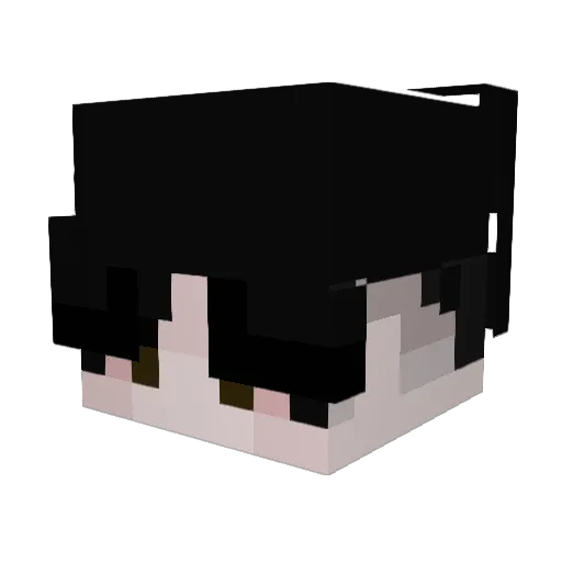 Nikazzio Minecraft avatar head, 3D render