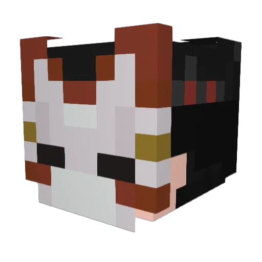 Nikch22 Minecraft avatar head, 3D render