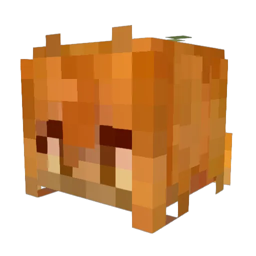 Nikchezz Minecraft avatar head, 3D render