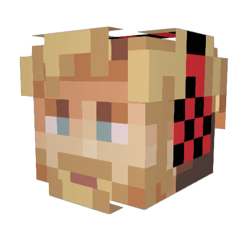 Nike0169 Minecraft avatar head, 3D render