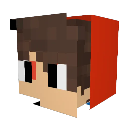 NikeAppleKid11 Minecraft avatar head, 3D render