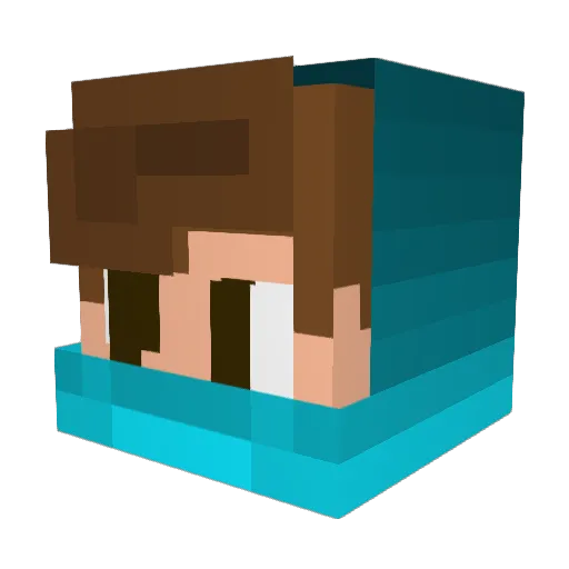 NikeLogo Minecraft avatar head, 3D render