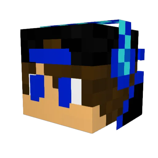 NikeRules53 Minecraft avatar head, 3D render