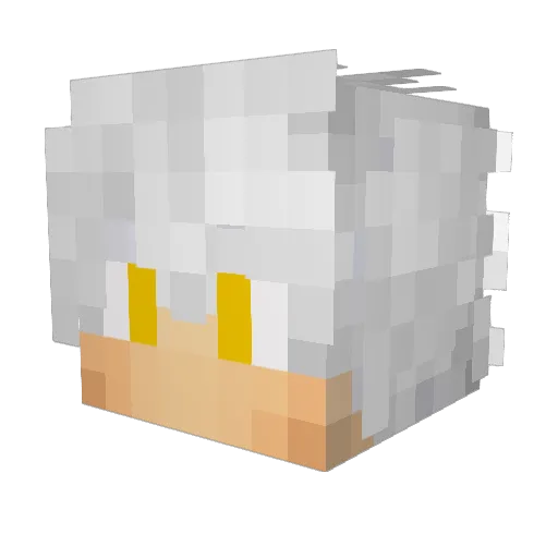 Nike_232 Minecraft avatar head, 3D render