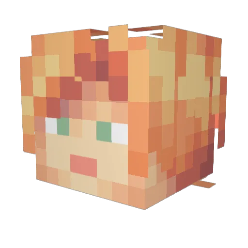Nikeabra Minecraft avatar head, 3D render