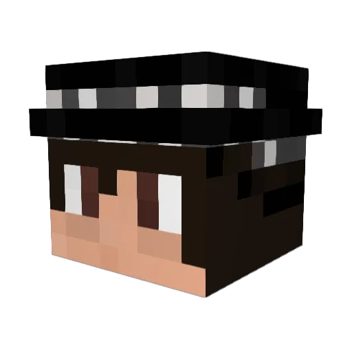 Nikedits00 Minecraft avatar head, 3D render
