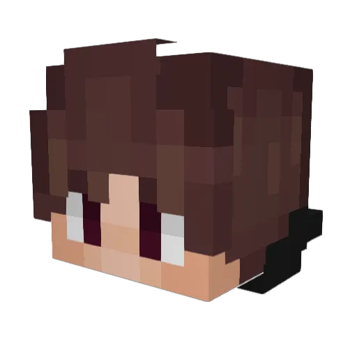 Niker25 Minecraft avatar head, 3D render
