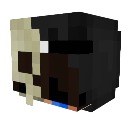 Nikestyle Minecraft avatar head, 3D render