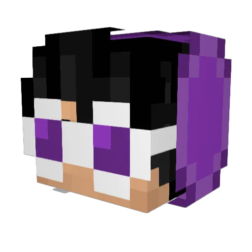 Nikeswoosh31 Minecraft avatar head, 3D render
