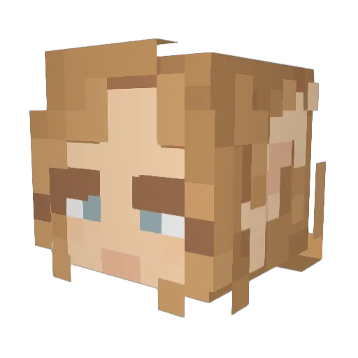 Niketaass Minecraft avatar head, 3D render