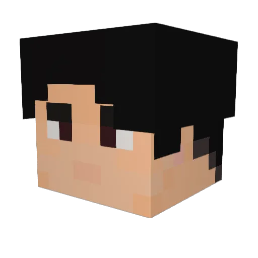 Nikhil_Nimbu Minecraft avatar head, 3D render