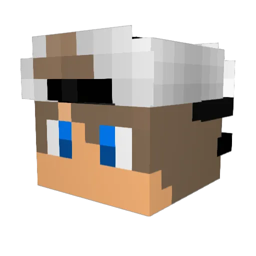 Nikho311 Minecraft avatar head, 3D render