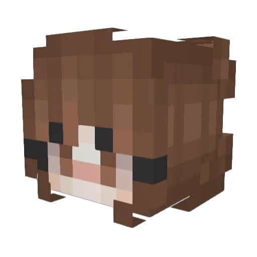 Niki753 Minecraft avatar head, 3D render