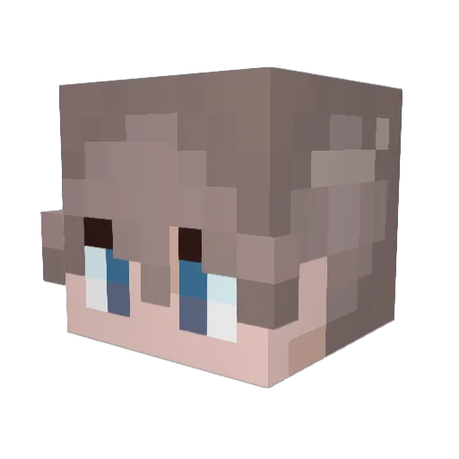 Nikifrenn Minecraft avatar head, 3D render