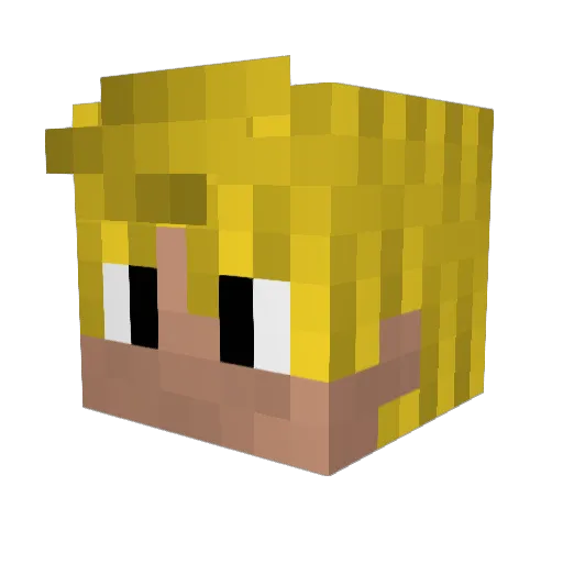 Nikigo Minecraft avatar head, 3D render