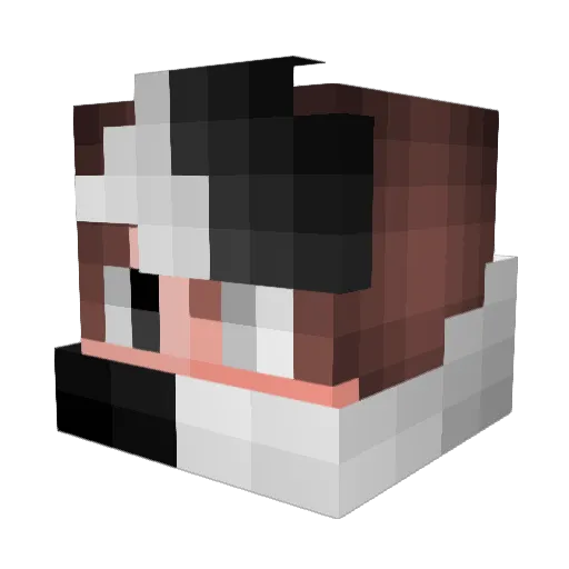 Nikii_LBS Minecraft avatar head, 3D render
