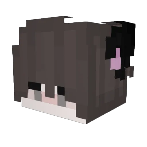 Nikileakss Minecraft avatar head, 3D render