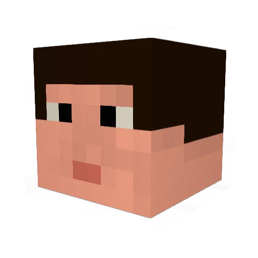 Nikinuki Minecraft avatar head, 3D render