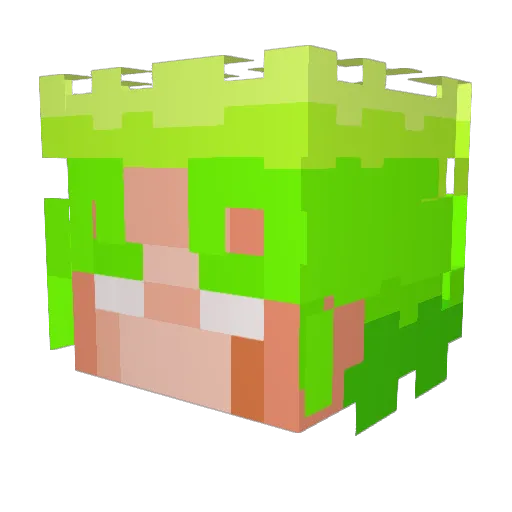 Nikion007 Minecraft avatar head, 3D render